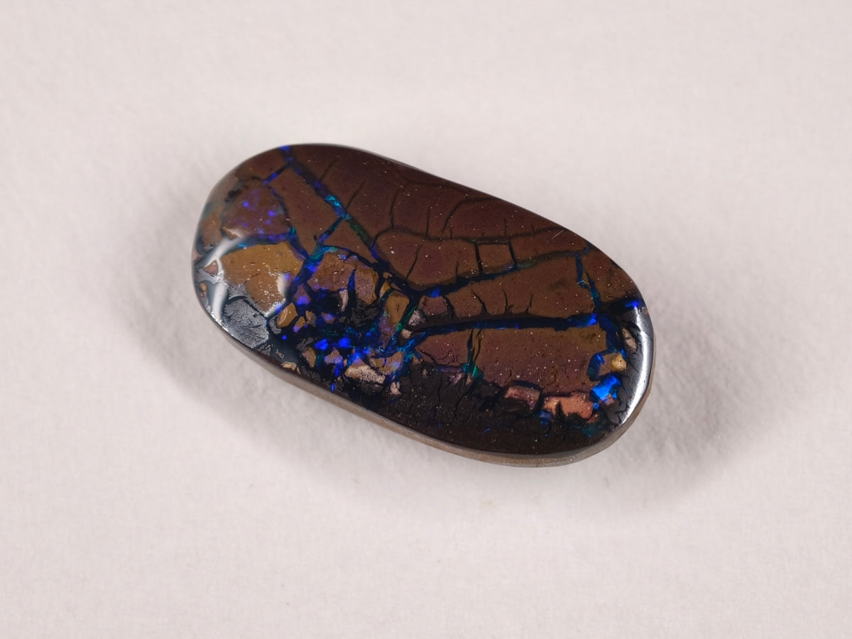 Opale boulder d’Australie — ovale — 12,9 ct
