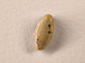 Opale boulder d’Australie — marquise — 3,6 ct