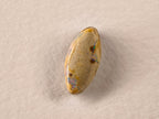 Opale boulder d’Australie — marquise — 3,6 ct