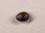 Opale boulder d’Australie — forme libre — 0,65 ct