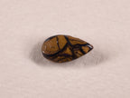 Opale boulder d’Australie — goutte — 3,2 ct