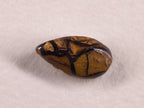 Opale boulder d’Australie — goutte — 3,2 ct