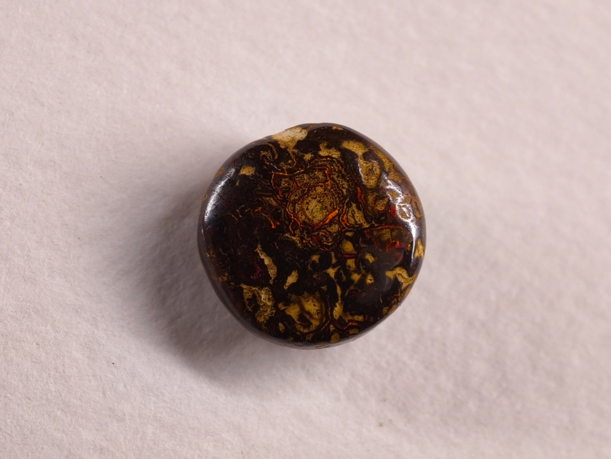 Opale boulder d’Australie — ronde — 5,9 ct