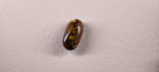Opale boulder d’Australie — ovale — 6,6 ct