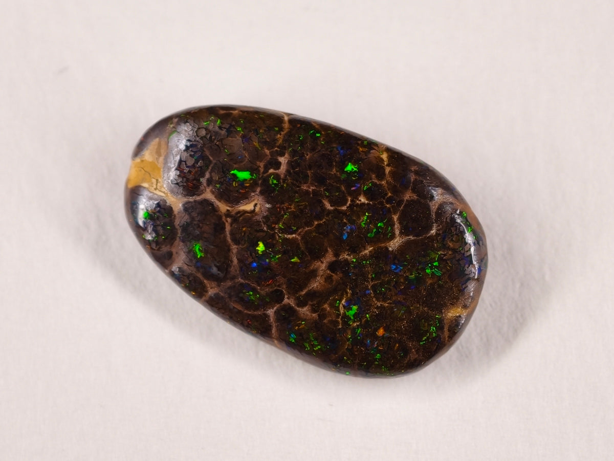 Opale boulder d’Australie — forme libre — 12 ct