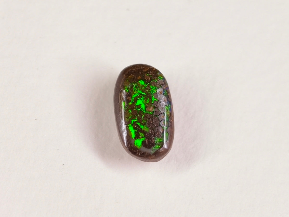 Opale boulder d’Australie — ovale — 1,7 ct