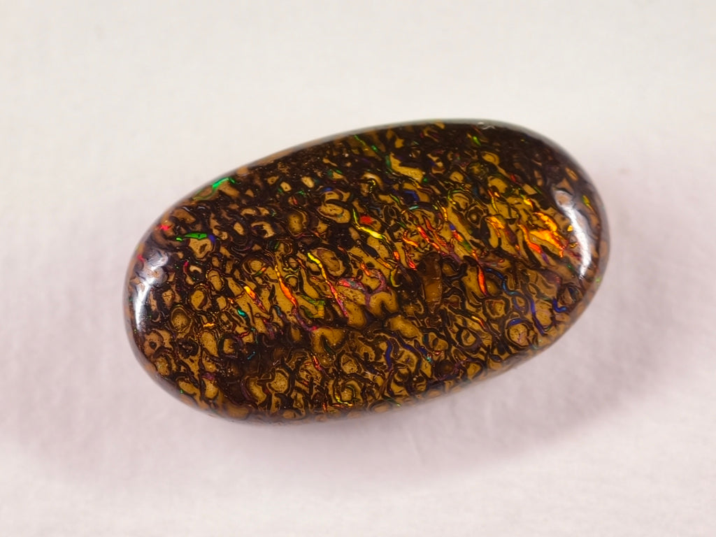 Opale boulder d’Australie — ovale — 16,7 ct