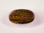 Opale boulder d’Australie — ovale — 16,7 ct