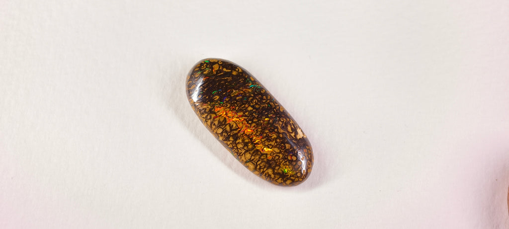 Opale boulder d’Australie — ovale — 18,7 ct
