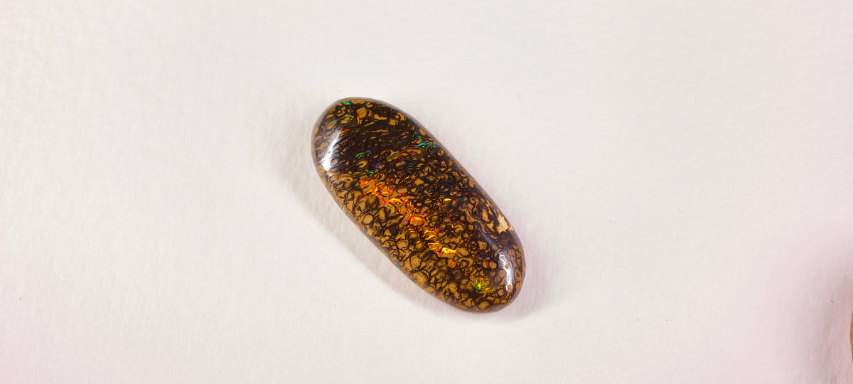 Opale boulder d’Australie — ovale — 18,7 ct
