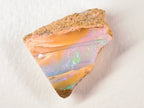 Duo d’opales boulder d’Australie — forme libre — 50 ct