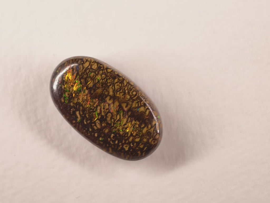 Opale boulder d’Australie — ovale — 16,7 ct