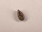 Opale boulder d’Australie — goutte — 3,2 ct