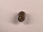 Opale boulder d’Australie — ovale — 5,5 ct